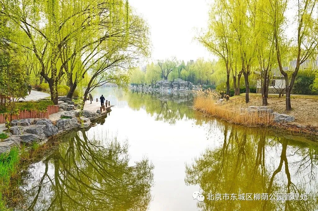 带娃新体验！第十四届柳文化节招募体验者啦_北京时间