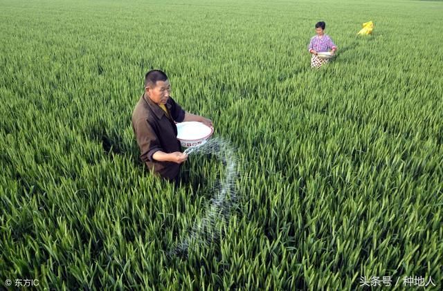 2018年国家鼓励农民多使用有机肥,化肥用多了