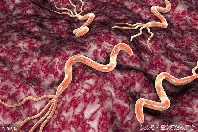 幽门螺杆菌最怕七种抗生素组合,坚持14天,胃病