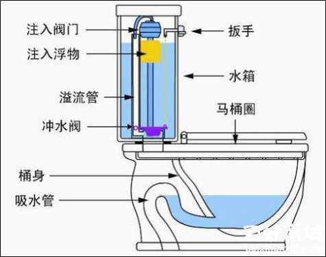 日本马桶水干净到能喝?