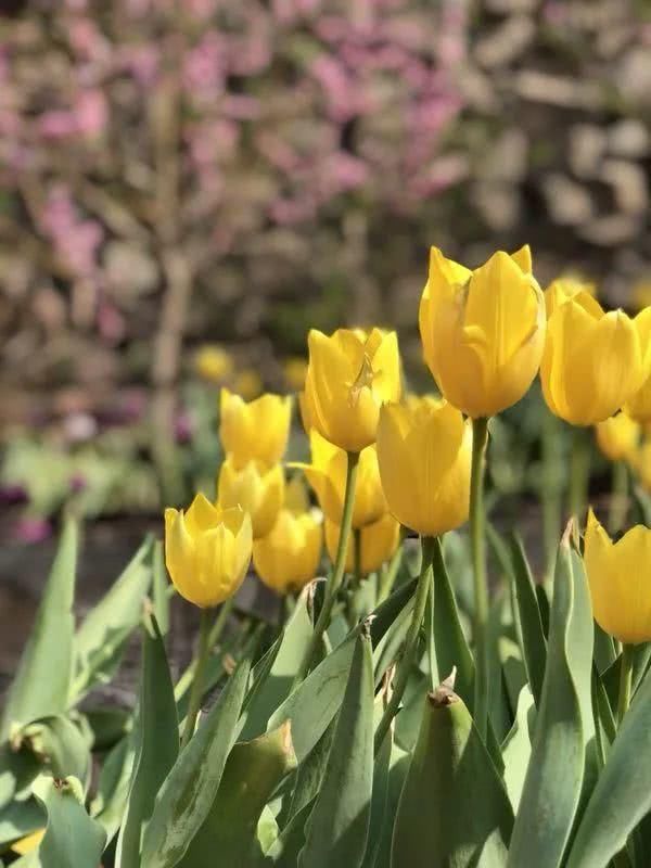 宝泉归来不看花,魅力881的主持人推荐你来宝泉