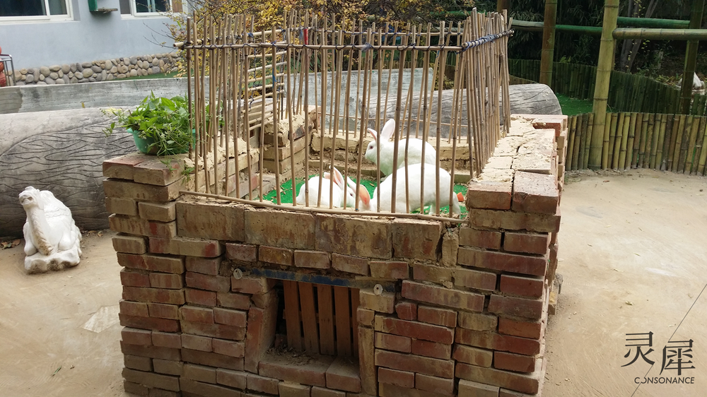 砖砌兔笼制作图片