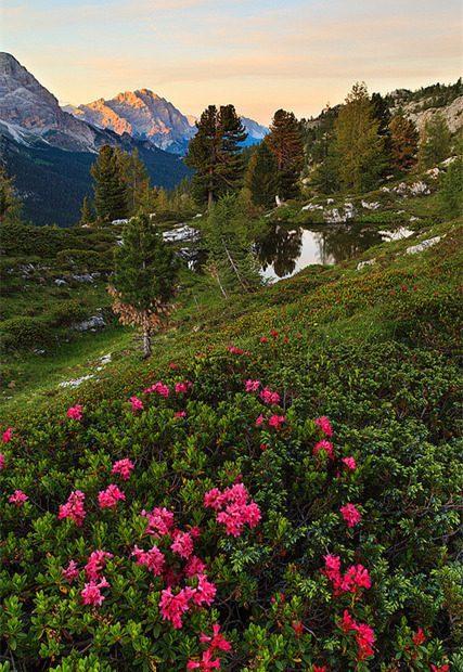 一句话早安心情说说,句句精辟,拿去发朋友圈吧