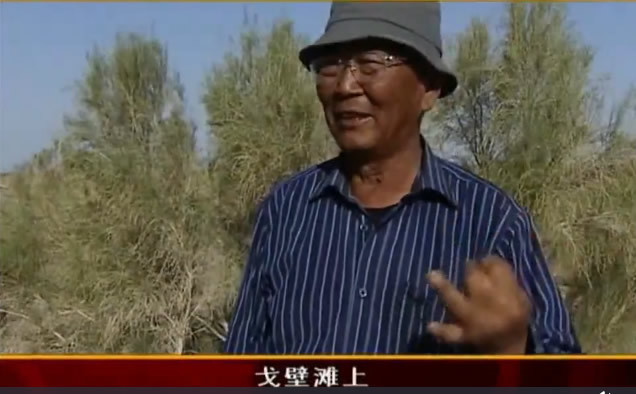 身边的党员:治沙英雄苏和 身边的党员:治沙英雄苏和