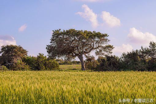 村这三类非本村集体成员可获得宅基地确权证!