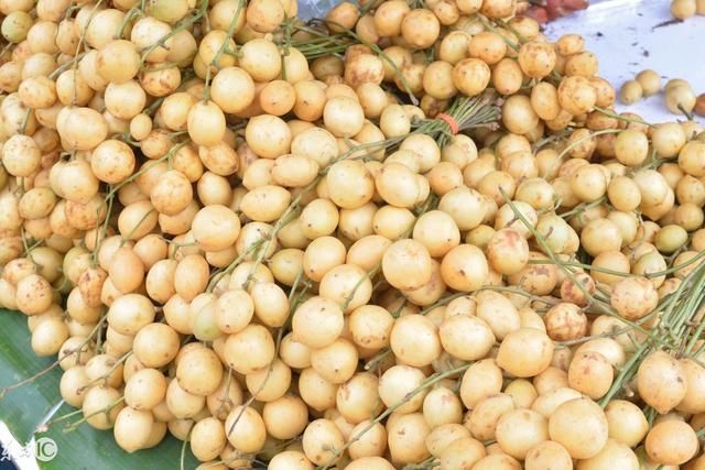 这水果不是荔枝,不是嘉宝果,每斤挣6块钱,种一