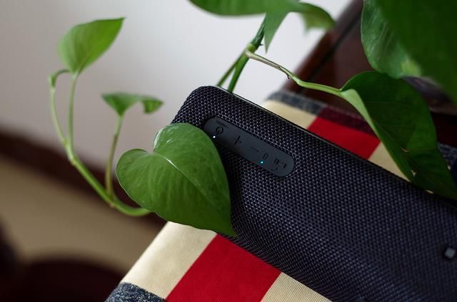 中了索尼网红蓝牙音箱SRS-XB31的毒,解药唯