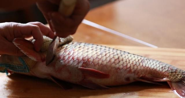 鱼也是至关重要的一个点,今天就来给大家分享留一手美食家的杀鱼技巧