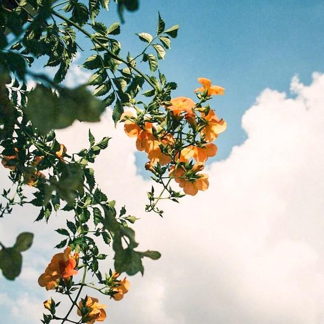 北岛最经典的十首诗,值得收藏