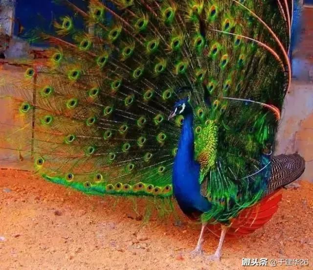 建档立卡贫困户都有什么优惠政策