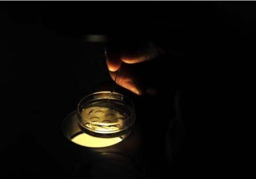 28岁少妇人工受精过程曝光,红着脸看完!