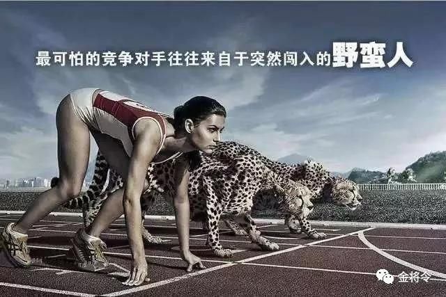 一个成功的企业建立网站的必要性