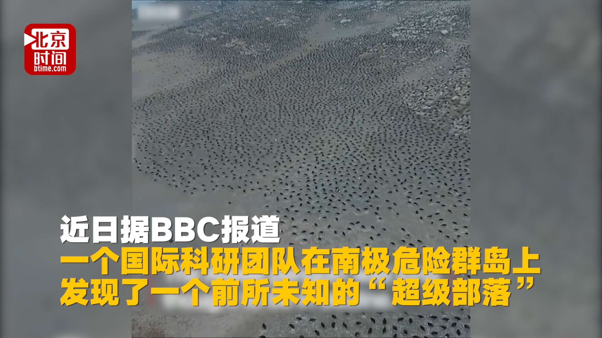 “超级部落”现身 科学家在南极新发现150万只企鹅 “超级部落”现身 科学家在南极新发现150万只企鹅