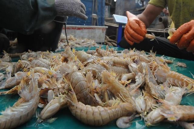 开海以来,各种海鲜一路跳水,个体小点的野生海捕大虾每只售价在5-8元