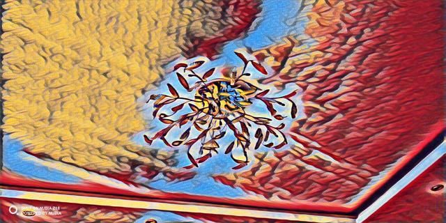 努比亚Z18拍照体验:索尼IMX499传感器具备AI