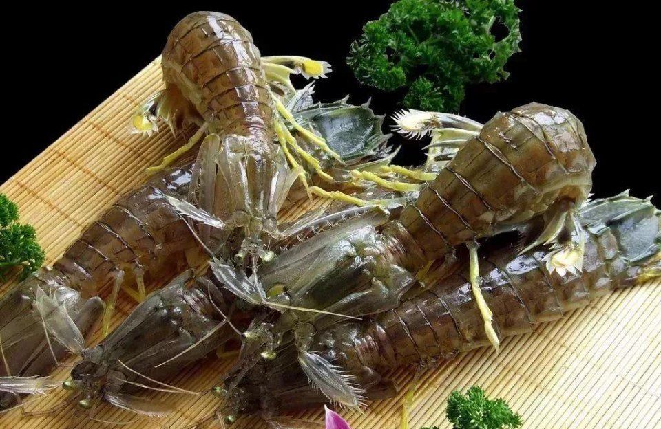 虾爬子大量上市!大连四季时令海鲜美味!