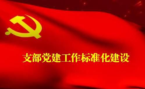 基层党支部标准化建设工作内容到底是什么,具