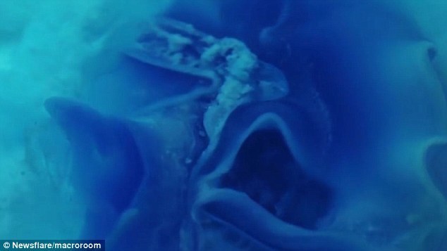 有些药片的外包膜被设计成可以抵御胃液的低PH值酸性环境，因而可以一直到人的大肠部分才开始溶解并发挥特定药效。