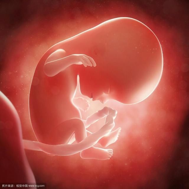 孕早期孕囊大小对照表,准妈妈都来对照看看哈