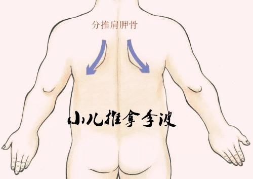 山东小儿推拿培训李波:宝宝止咳化痰通用的中