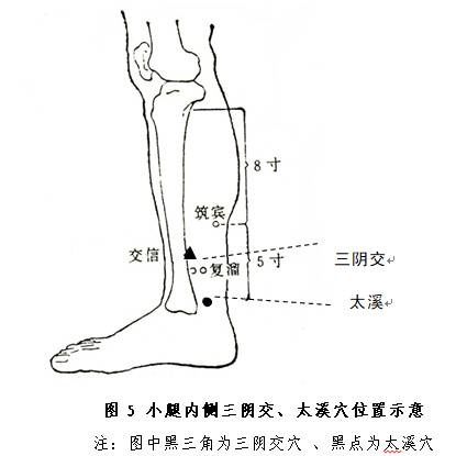 t019817e8209463f6e3.jpg