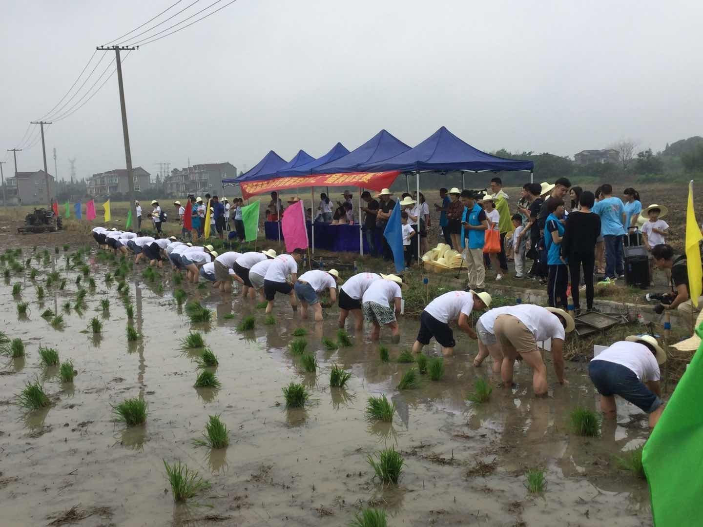 一群城里人来到乡村当起了农民,还有鱼汤饭和