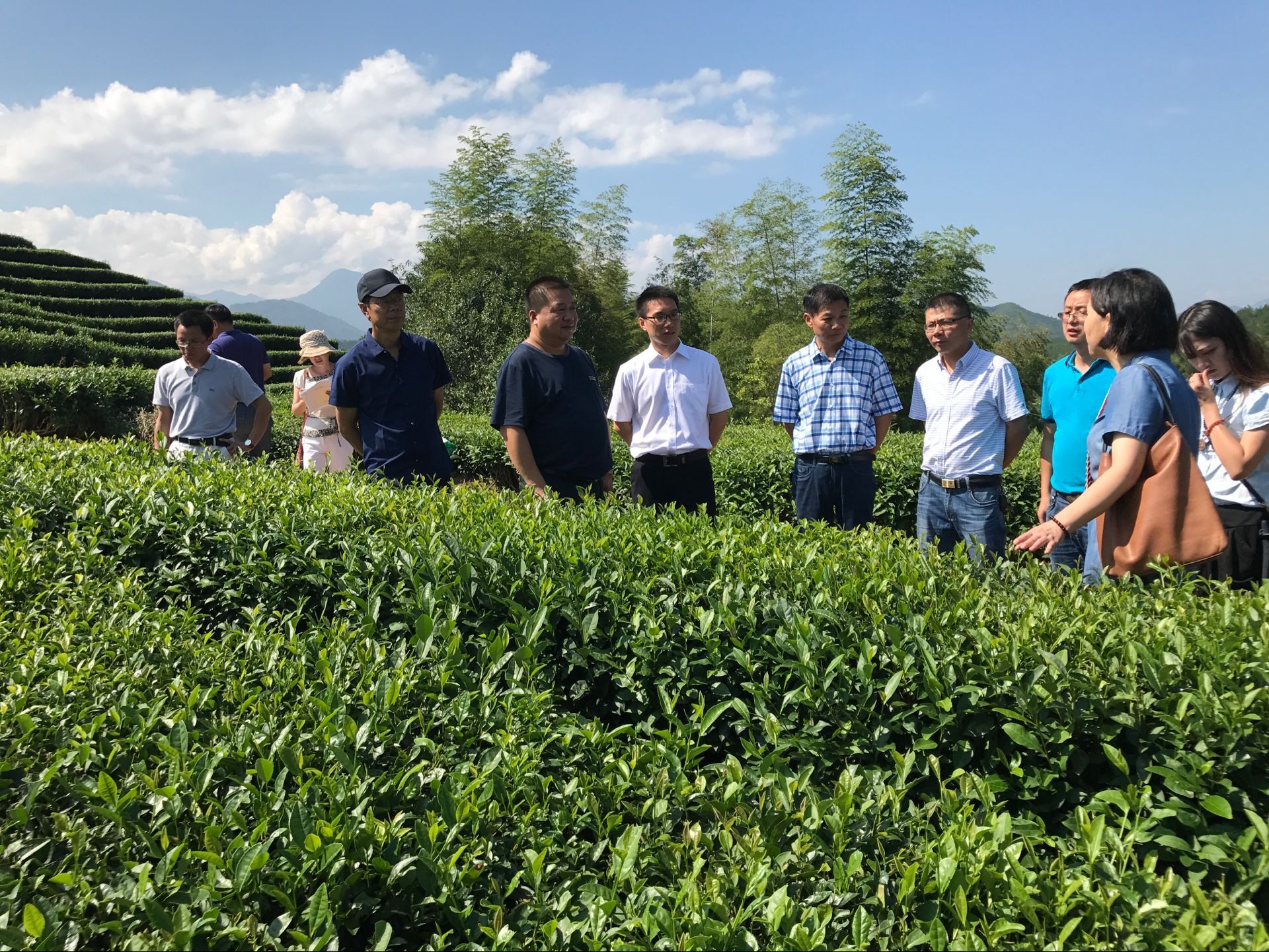 浙江丽水: 浙江丽水: