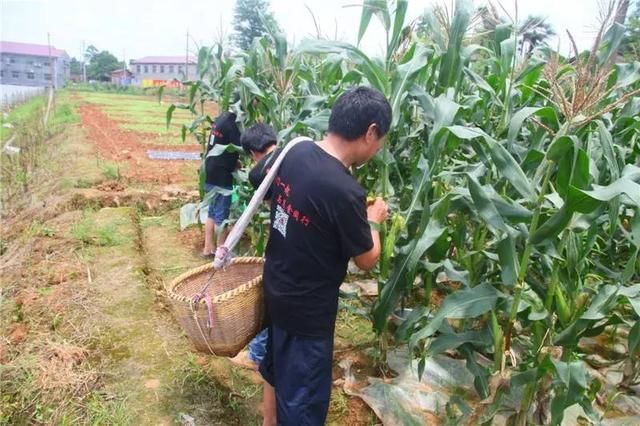 我是如何用互联网思维实现了粉丝流量变现赚钱