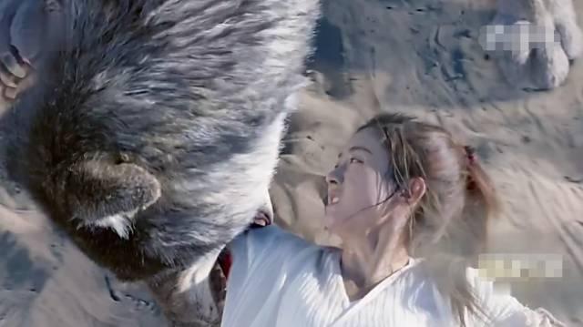 赵丽颖也确实拼,片中有一段赵丽颖被两匹狼轮番撕咬的戏,镜头没有回避