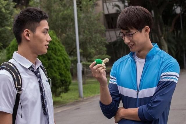 这部BL不得了,只有8集好看在哪?