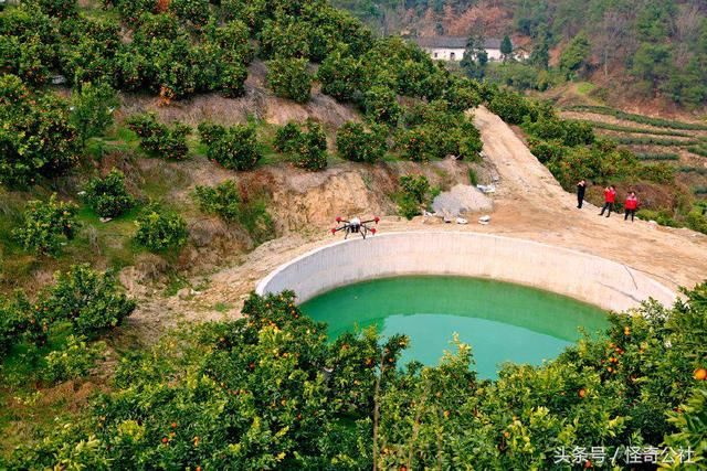 湖北秭归:家庭农场种脐橙年收入百万 观光采摘