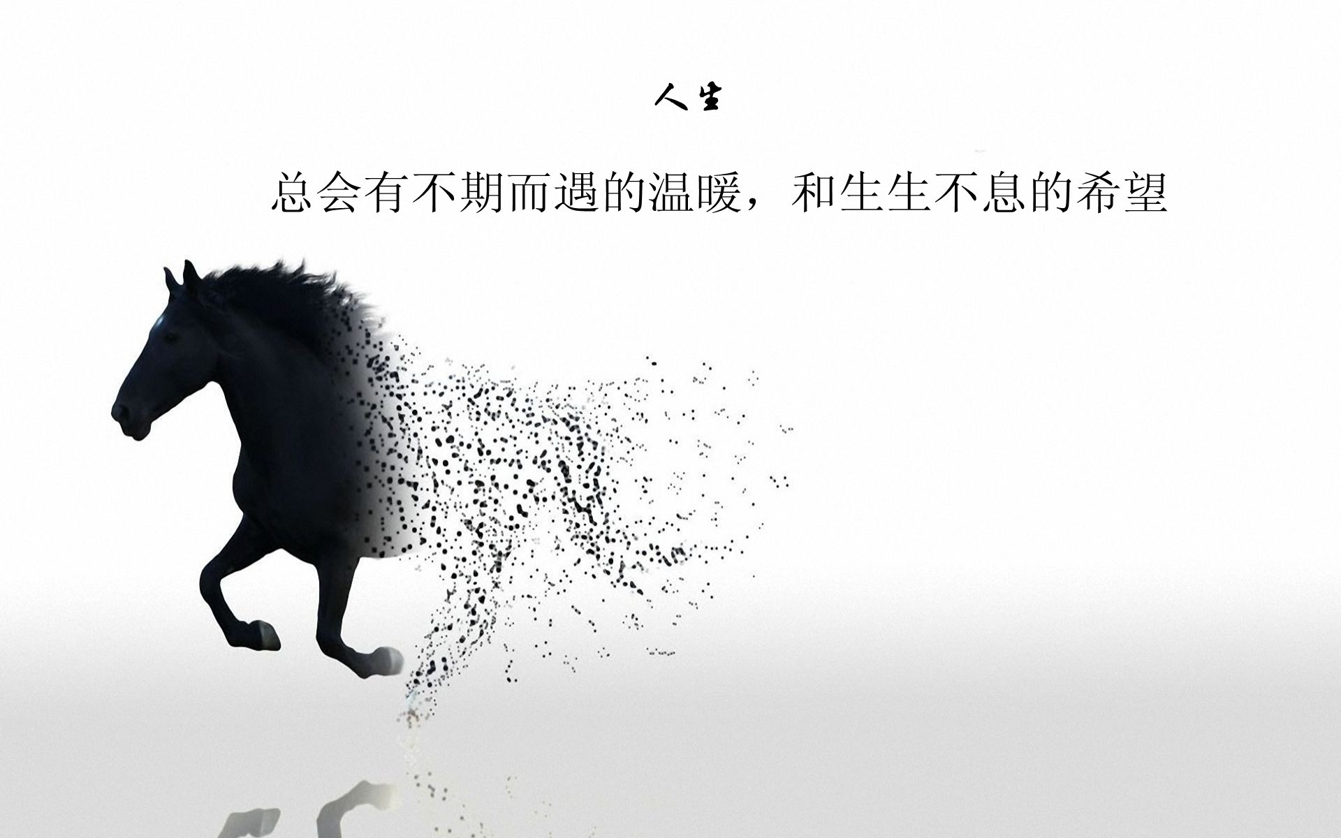 机会与平台哪一个更重要?