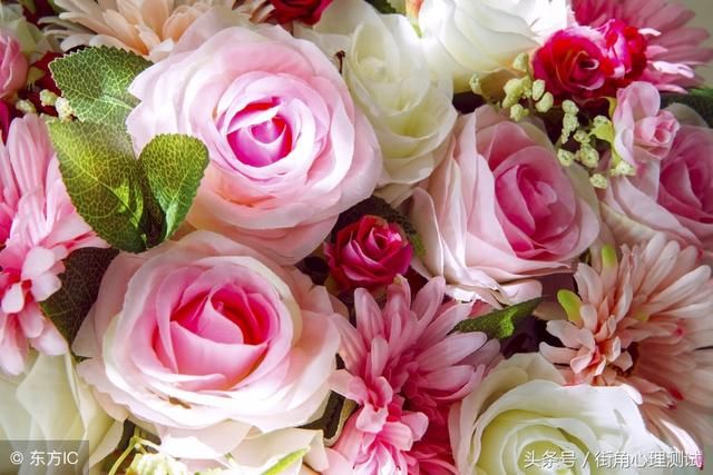 心理测试:那个图上的鲜花最漂亮,测试你未来3