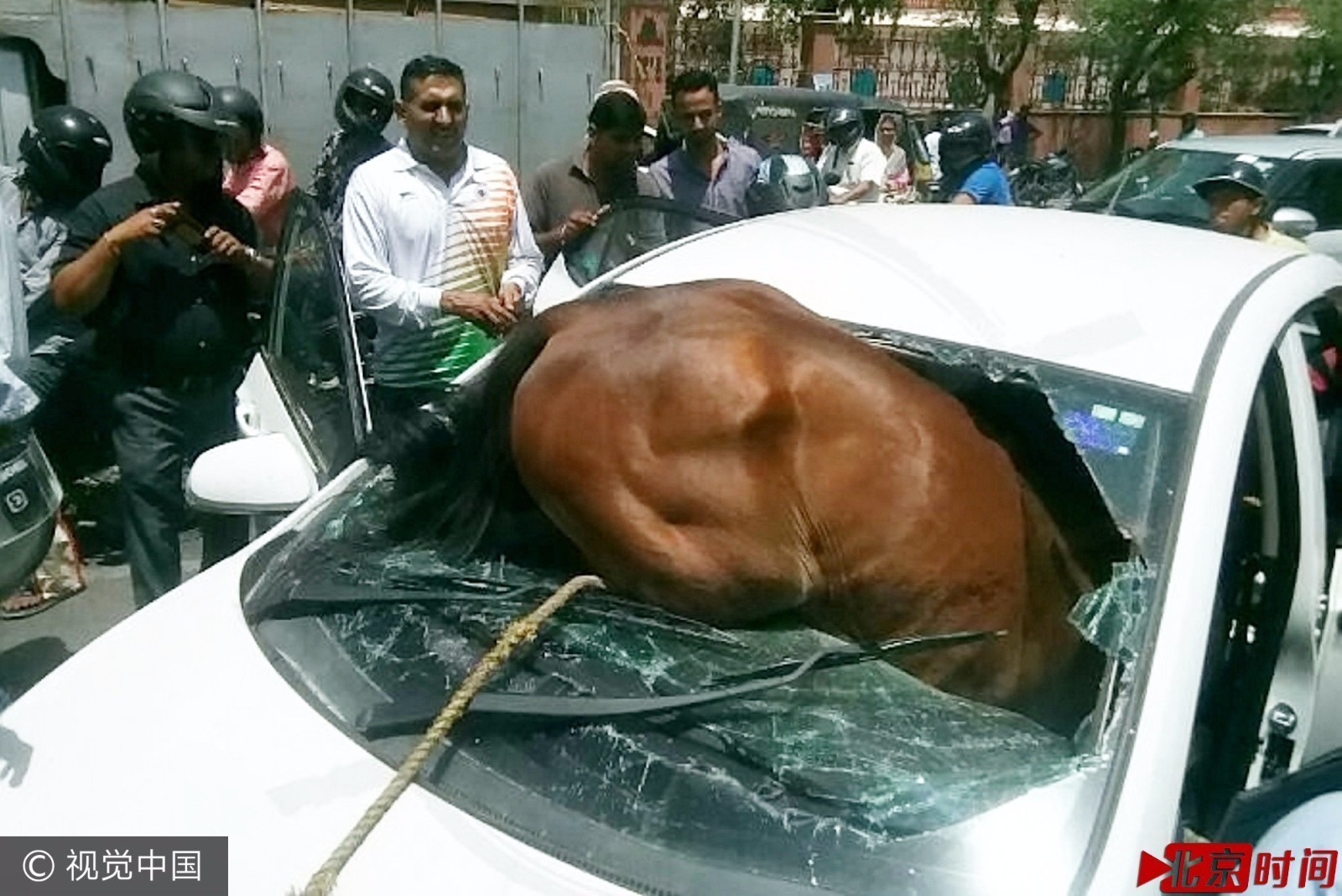 印度马儿被“晒傻”:脱缰怼汽车 致一人一马轻伤 印度马儿被“晒傻”:脱缰怼汽车 致一人一马轻伤
