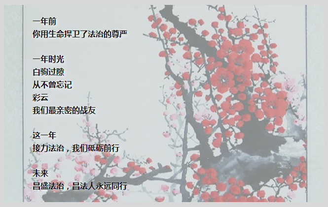 祭彩云∣这一年 用生命捍卫法治的尊严 祭彩云∣这一年 用生命捍卫法治的尊严