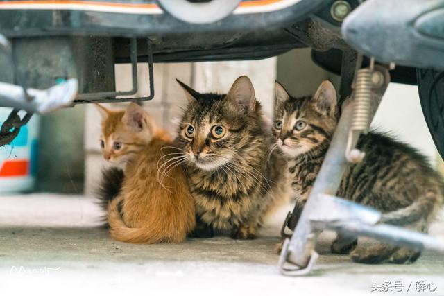 嘴笨,不会说话,不会逗女孩子开心,该如何和女孩