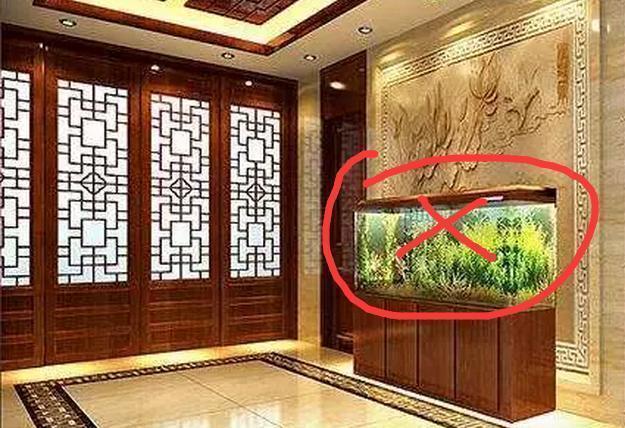另外,风水鱼缸一般摆放在家中的凶位,还有挡煞的作用.