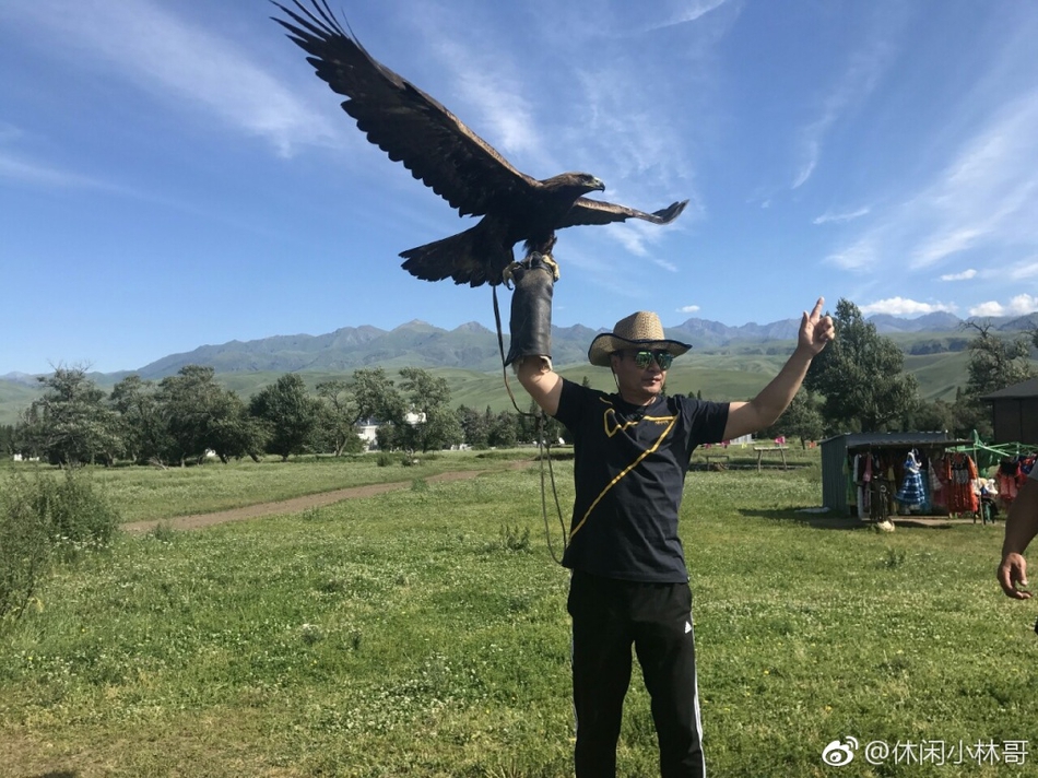 杨幂老爸晒新疆游玩照 大雕在手霸气十足