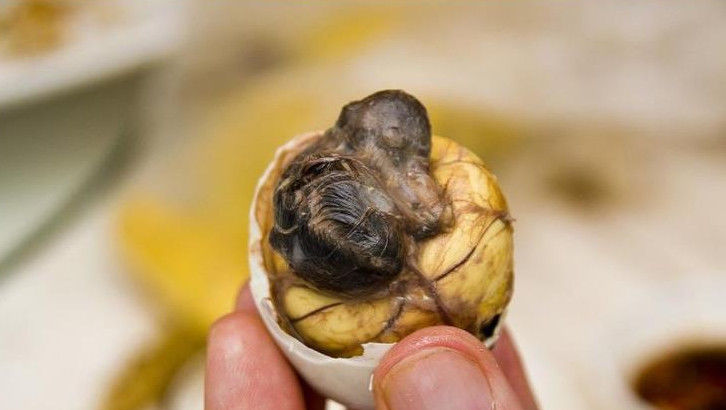 全球最可怕的美食,中国人真的什么都敢吃么