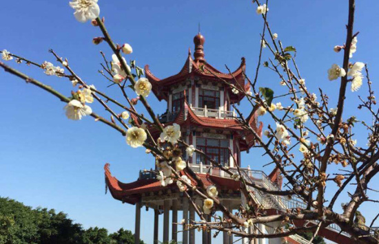 长乐海边640岁的美丽海防古城:梅花镇兼具刚与柔 长乐海边640岁的美丽海防古城:梅花镇兼具刚与柔