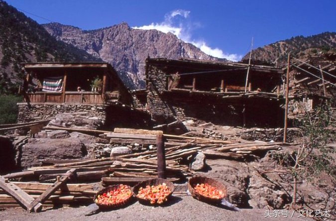 里尔人口民族_人口和民族的思维导图