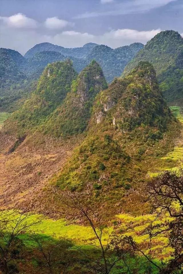 市长与曲靖一起刷爆朋友圈!流利英文对答记者