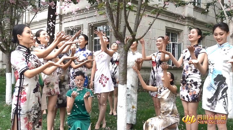 准空姐樱花树下大秀美腿 网友:盖过樱花的美 准空姐樱花树下大秀美腿 网友:盖过樱花的美