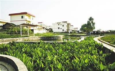 广西实施农村人居环境整治三年行动 推动全区