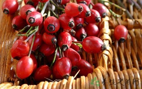 血糖高睡前能吃水果吗