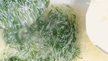 秋季最适合这道国宴大菜文思豆腐! 秋季最适合这道国宴大菜文思豆腐!