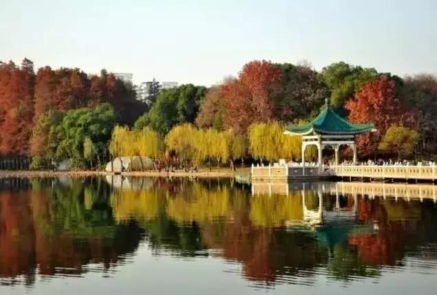 250元白菜价机票杭州出发,治好你的假日综合