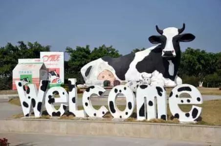 2018年深圳市最新十区重点发展规划!