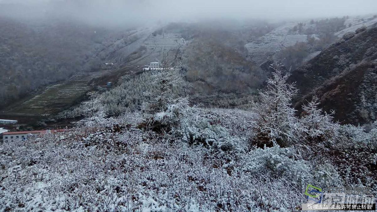 10月10日,在北京门头沟灵山地区出现了降雪.李长山摄 千龙网发