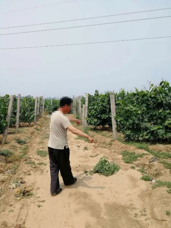 杀6人A级通缉犯逃犯王力辉落网!